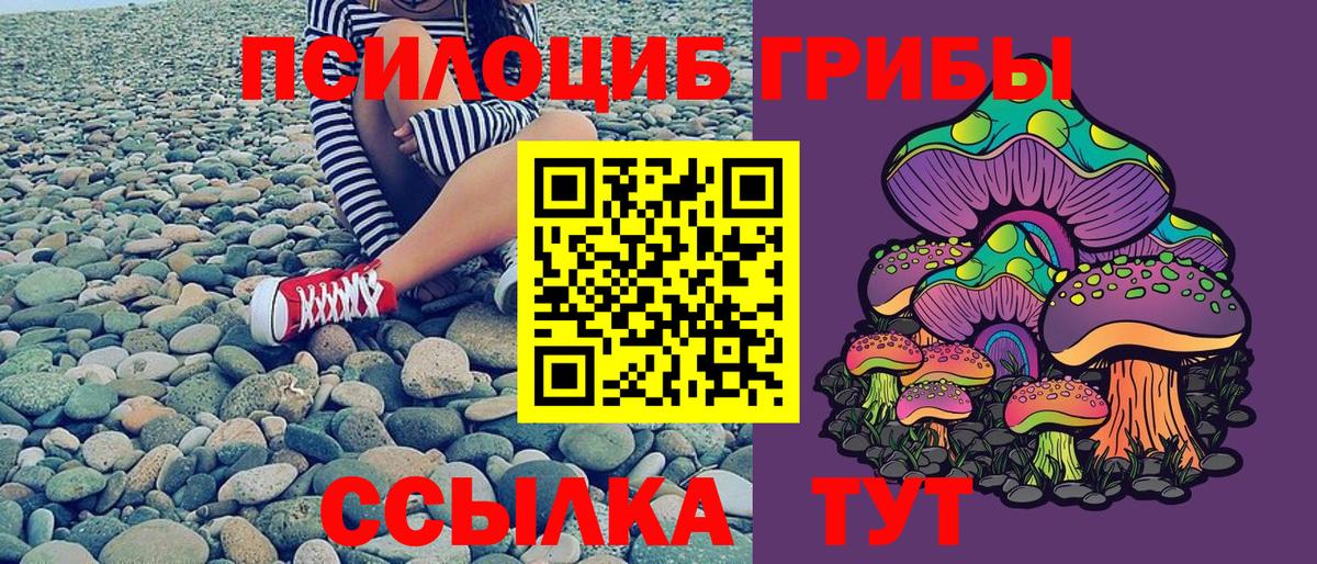 Дмитров  даркнет сайт  Вход с VPN  Галлюциногенные грибы Cubensis 